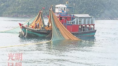 Photo of A型漁船違例捕魚 30漁民被扣