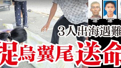 Photo of 3人出海遇難 捉烏翼尾送命