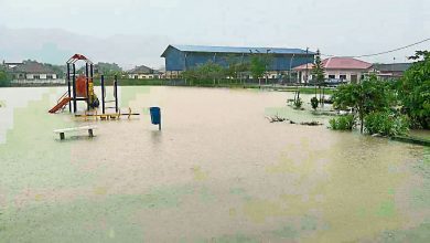 Photo of 4小時傾盆大雨 中學園及百家村淹水