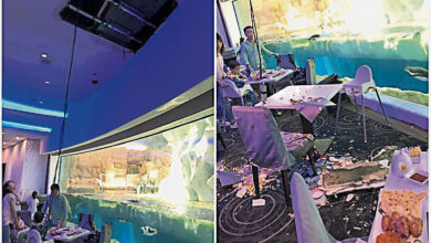Photo of 港海洋公園餐廳肇意外 天花板坍塌險砸中食客