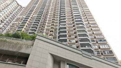 Photo of 劉特佐母擁港豪宅 月租10萬與馬雲為鄰