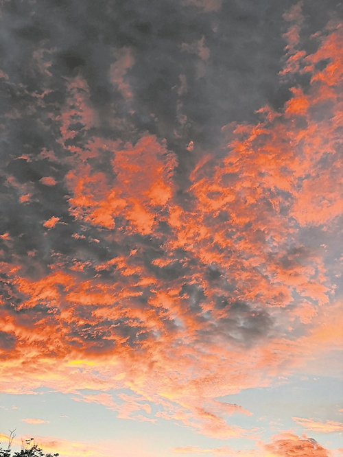 110818P1101