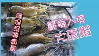Photo of 確保沒帶病毒 嚴檢入境大頭蝦