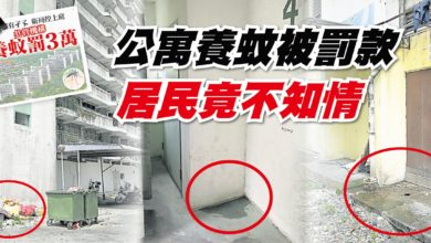 Photo of 公寓養蚊被罰款 居民竟不知情