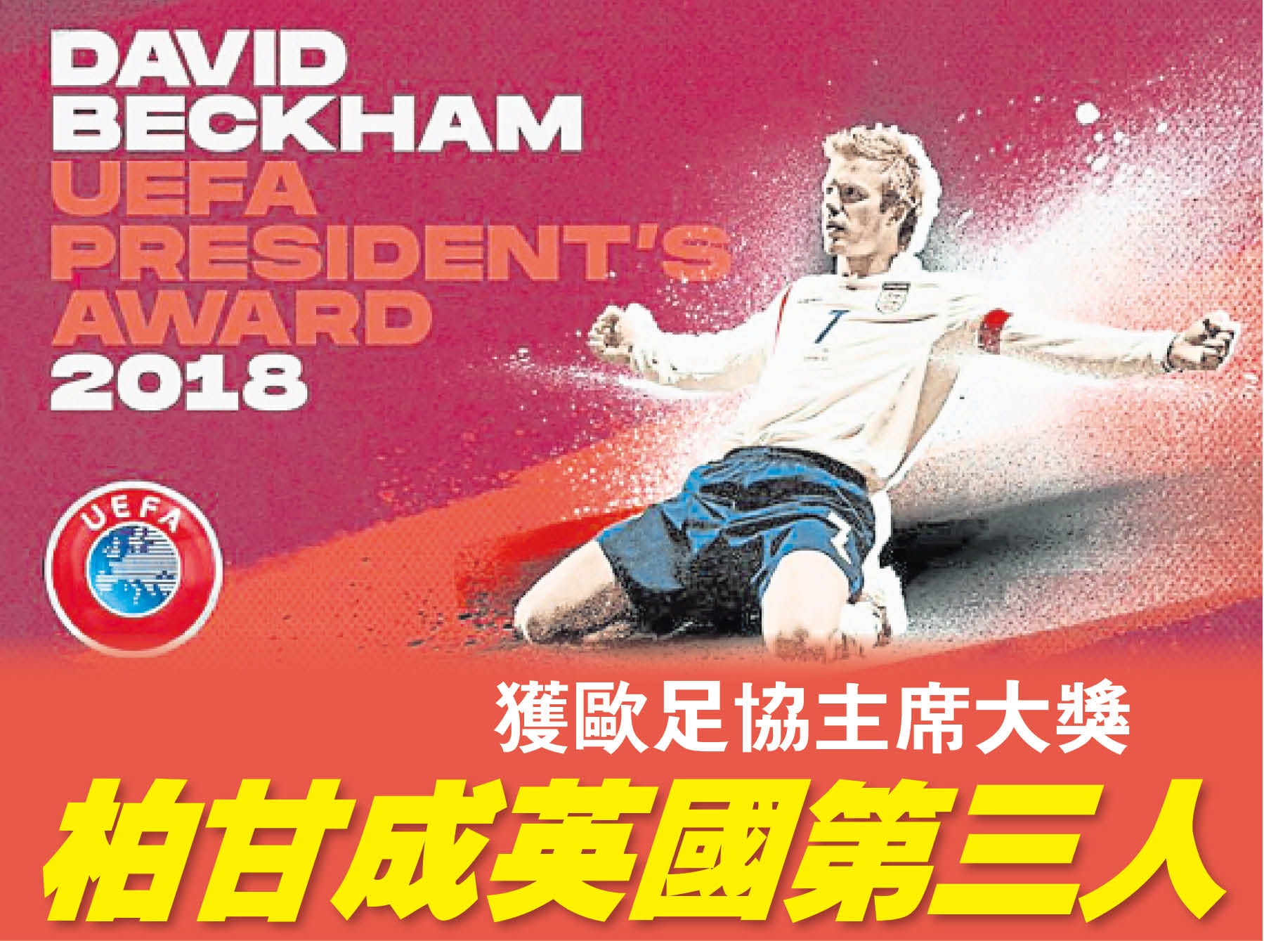 david
