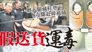 Photo of 纏大腿藏鞋墊下 8毒騾赴韓被捕  假送貨運毒