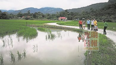 Photo of 議員：既新鮮又刺激 浮羅勿洞或添滑翔傘