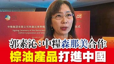 Photo of 郭素沁：中糧森那美合作 棕油產品打進中國
