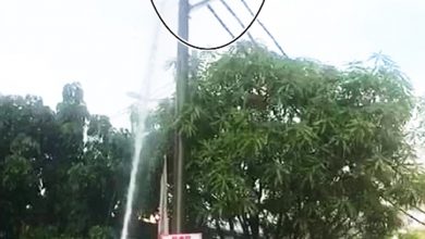 Photo of 消拯員噴水擒蟒蛇