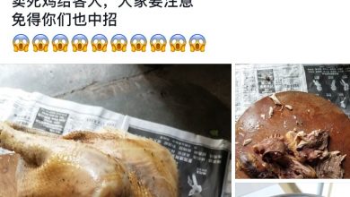 Photo of 肉雞現宰現賣絕對新鮮 女雞販斥視頻抹黑