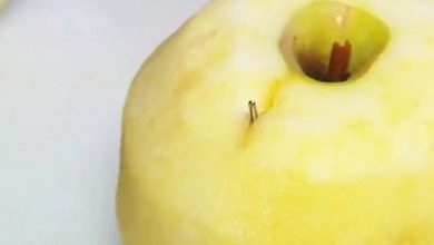 Photo of 蘋果也扎針 食品恐慌蔓延全澳