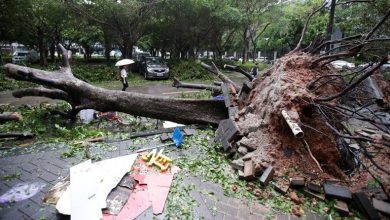 Photo of 山竹抵華減弱為熱帶低壓 疏散95萬人 廣東4死