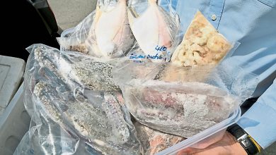 Photo of 【招牌菜】食材宅急便  不出門能買生鮮物