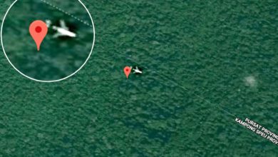 Photo of MH370在柬森林？ 英谷歌地圖專家擬前往查證