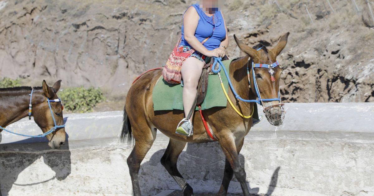 0_PAY-Donkeys-being-ridden-in-Santorini