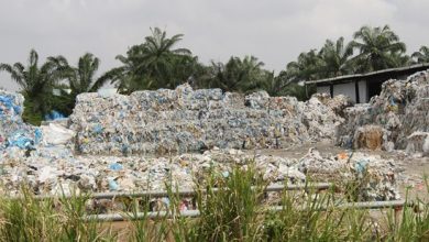 Photo of 瓜冷縣會率先開放4千公噸 招標清理洋垃圾