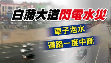 Photo of 白蒲大道閃電水災 車子泡水 道路一度中斷