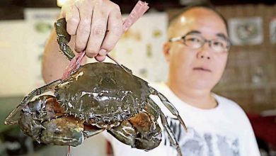 Photo of 【招牌菜】老饕最愛 原汁原味干燒肉蟹