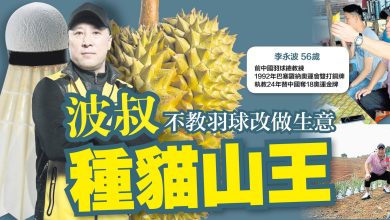 Photo of 不教羽球改做生意 波叔種貓山王