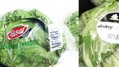 Photo of 大馬生菜殺蟲劑超標 獅城從超市召回