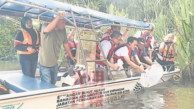 Photo of 【金龍魚野放原生棲息地活動】 推行保育計劃 244金龍魚回家了