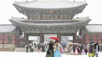Photo of 年末冰火兩重天 寒流襲韓 澳迎熱浪