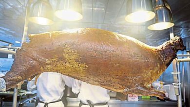 Photo of 【好食光】郵輪美食 吃到飽