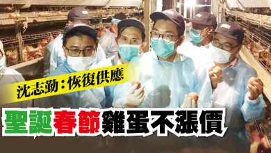 Photo of 沈志勤:恢復供應 聖誕春節雞蛋不漲價
