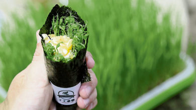 Photo of 【招牌菜】輕食芽苗菜 兄弟看好市場潛能