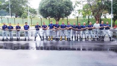 Photo of 海軍基地發現 2蟒蛇250公斤 交配被擒
