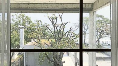 Photo of 【這裡那裡】 睡在巧克力盒里面
