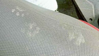 Photo of 【好野人在烏布】 宁静日请勿打扰… …