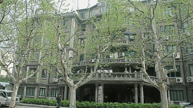 Photo of 【自遊自在】上海繁花