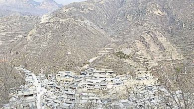 Photo of 【自遊自在】 走遍千山万水  回家的路最好