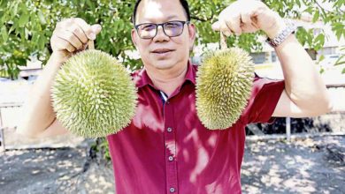 Photo of 【招牌菜】校長馬紳涵 肉眼識榴槤