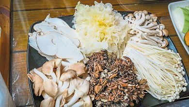 Photo of 【招牌菜】我愛菇菇