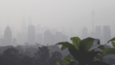 Photo of 風向改變 迎來暴風雨 煙霾24日後料改善