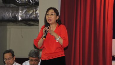 Photo of 專種棕油難有優渥收入 郭素沁籲兼養牛羊