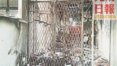 Photo of 燒燬85% 馬章武莫花園住宅失火