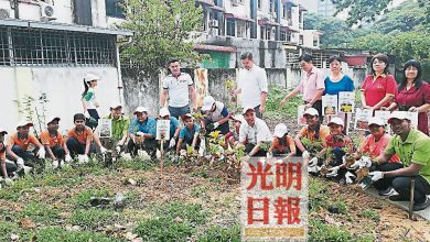 Photo of 孫意志：美化環境 3校40學生種1100樹