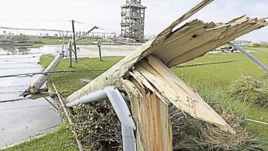 Photo of “多利安”襲加東  風力增強逾45萬人斷電