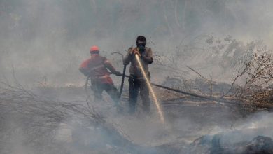 Photo of 廖內“霾”入緊急狀態   280馬留學生將撤離