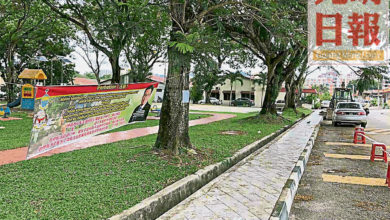 Photo of 峇央峇魯修剪樹木 車主受促勿停路邊