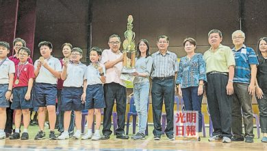 Photo of 【嘉聯青全國華小數學賽】檳華小學A隊團體個人奪冠