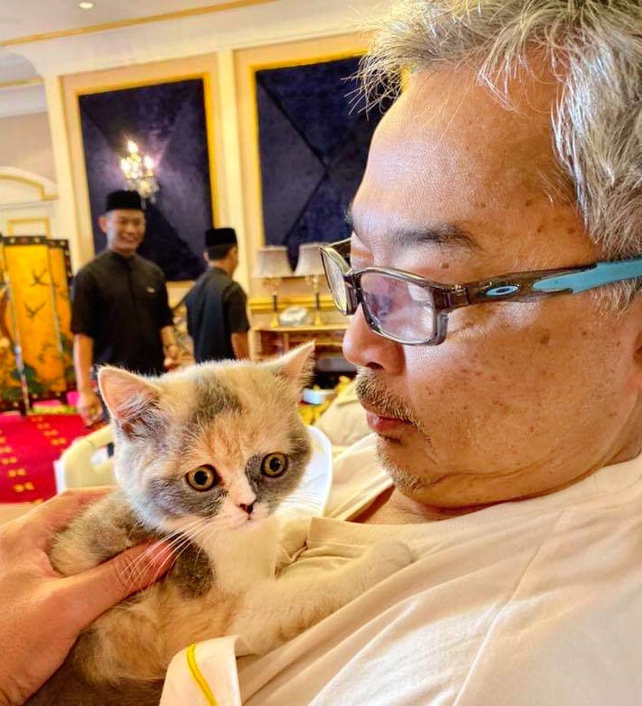 全国图：元首伉俪逗猫乐。(10540657)-20191021155612