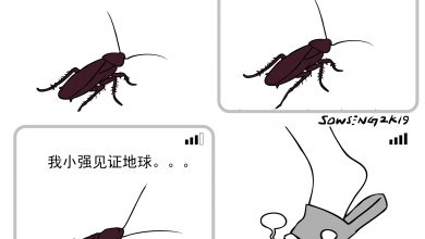 Photo of 【漫畫】適者