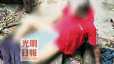 Photo of 如廁驚聞檢舉不及穿好 外勞遭褲子絆倒落網