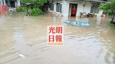Photo of 古邦巴素淹水 樹倒擋車道