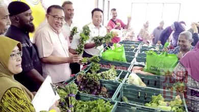 Photo of 陽光發林長期贊助 阿依淡食物銀行開跑