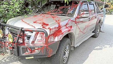 Photo of 疑阿窿點錯相 大紅花園5車被噴紅漆